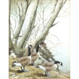 Robert Morton, 20th century, three geese on the edge of a lake, signed and dated 1978,