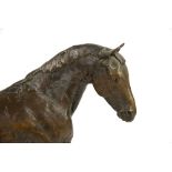 AMEDNDED DESCRIPTION Study of a Mare, bronze signed MS 1967 NHL, 37cm x 53cm x 10cm Provenance: