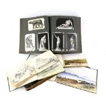 Postcard album, mostly topographical, architectural and the arts, together with an album of
