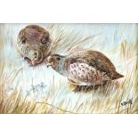 Hand painted bone china plaque by James Skerrett of two grouse, signed lower right, stamped to