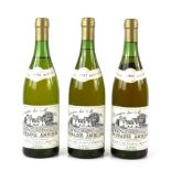 Three bottles of Domaine des Menigottes, Plou & Fils, Tourane Amboise wine, 1982 vintage (3)