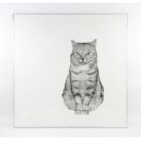 Large Lithographic monochrome print of a cat, in chrome frame, unsigned, 91 x 91cm