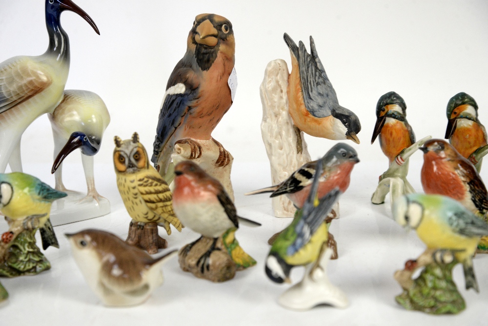 Collection of Beswick birds including blue tit, Wren and Robin x7, and 7 Goebel birds, and 4 other - Image 3 of 5