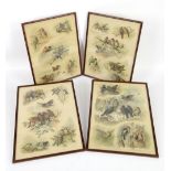 Set of four framed and glazed prints of birds after A. West, 39.5 x 29.5cm (4)