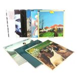 Approx. 100 - 12 inch quality collectable vinyl records. Includes many first or early pressings,