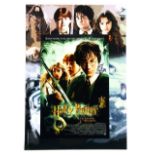 Daniel Radcliffe - Harry Potter signed photo poster for the Chamber of Secrets, flat, 12 x 16