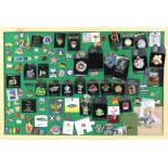 50+ Pin Badges from Universal Studios, Walt Disney World and many others, on board.