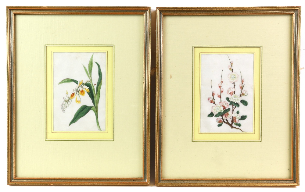 Eighteen Chinese rice or pith pictures, five framed, the others in a typical rectangular folio. - Image 2 of 6