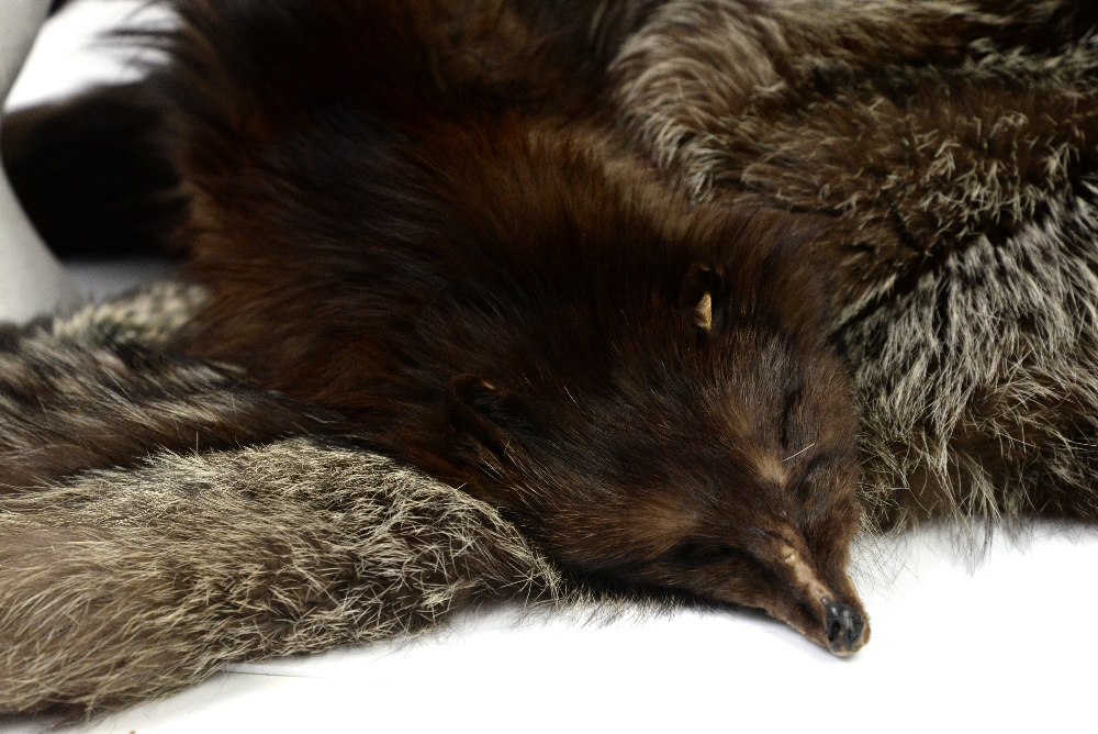 Vintage fur accessories including Ermine tippet, long blue Fox stole and cuffs, and early 20th - Image 3 of 4