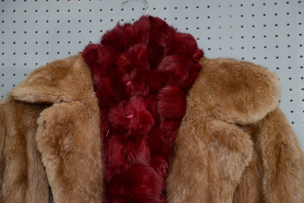 Assorted fur to include 5 fur coats-, 1 fur gilet, a red rabbit fur scarf, and black coat with fur - Image 6 of 9