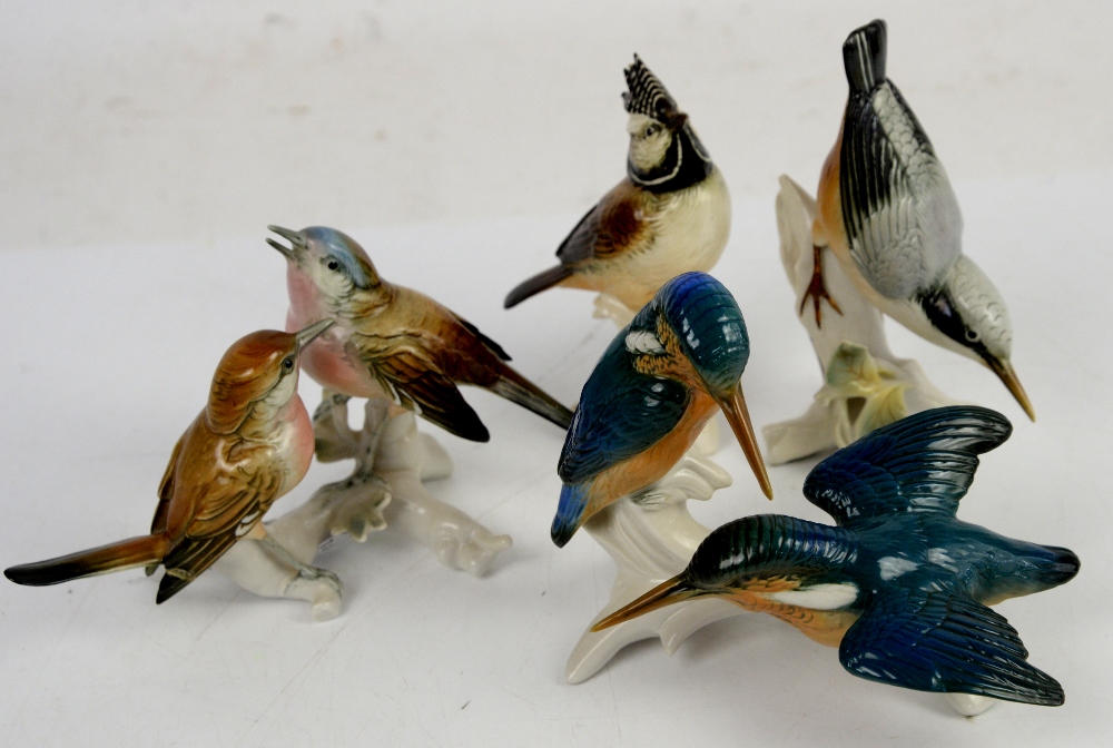 Four Karl Ens porcelain birds, to include figural group of two Kingfishers (4)