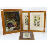Still life, fruit, oil on board, two botanical prints and a flower print