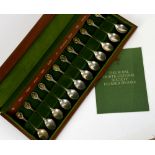 The Royal Horticultural Society Flower Spoons, cased set of twelve hallmarked silver tea spoons,