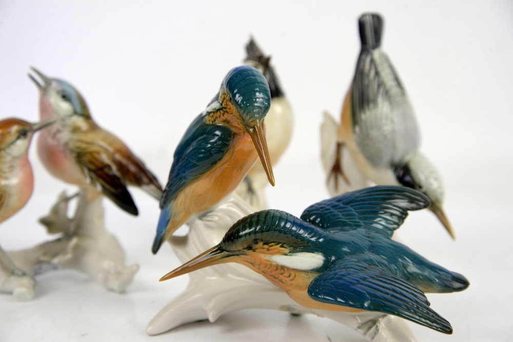 Four Karl Ens porcelain birds, to include figural group of two Kingfishers (4) - Image 2 of 3