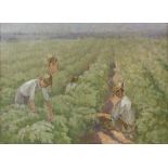 § Maurice Feild (1905-1988) The Pickers, oil on board, unsigned, inscription verso, 28cm x