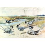 Frank Southgate (1872-1916) Seabirds (Terns) at Morston Harbour, Norfolk. Watercolour, signed