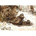 Frank Southgate (1872-1916). A pair of Woodcock in a forest clearing. Watercolour. Signed lower