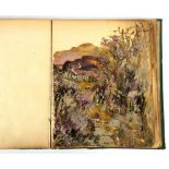 Very unusual Victorian scrap album by Francis Garratt, 1893, Llandudno, Call us not weeds, we are