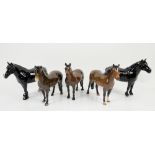 Five Beswick ponies, comprising Dale, Dartmoor, Fell, Exmoor, and New Forest, tallest 17.5cm, (5),