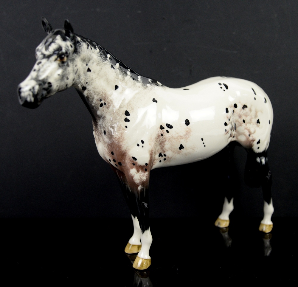 Beswick Appaloosa stallion, 20cm high,