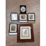 LOT OF FRAMED BIRD PICTURES INC BOXED DAVID BINNS TITANIUM ETCHING