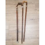 3 RUSTIC WALKING STICKS WITH SILVER COLLAR