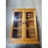 MODERN WALL GLAZED HANGING CABINET