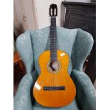 CLASSIC ACOUSTIC GUITAR