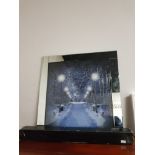 FIBRE OPTIC TAPESTRY WALL HANGING TOGETHER WITH MIRROR FRAMED WINTER PRINT