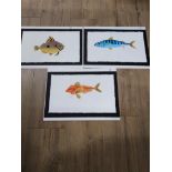 3 UNFRAMED LIMITED EDITION PICTURES OF FISH INCLUDING JOHN DORY GURNARD AND MACKEREL