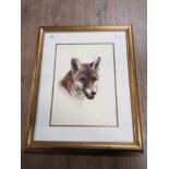 GILT FRAMED ORIGINAL COLOUR ETCHING BY KURT MEYER EBERHARDTS FOX