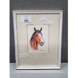 PORTRAIT WATERCOLOUR OF HORSES HEAD SIGNED AND DATED DM EM ALDERSON 1978