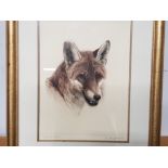 GILT FRAMED ORIGINAL COLOUR ETCHING BY KURT MEYER EBERHARDTS FOX