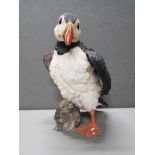 LARGE AND EARLY HAND PAINTED COUNTRY ARTISTS SCULPTURE OF A PUFFIN AND A PUFFLING WITH NUMBER CODE