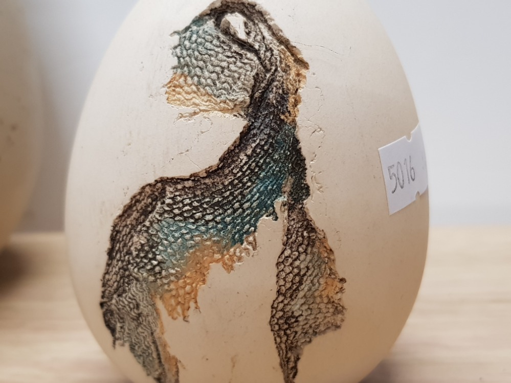 FOUR STUDIO POTTERY EGGS ALL WITH WEB DECORATION 2 SIGNED BY ALISON BORTHWICK AND ONE BY RAY NASH - Image 2 of 3