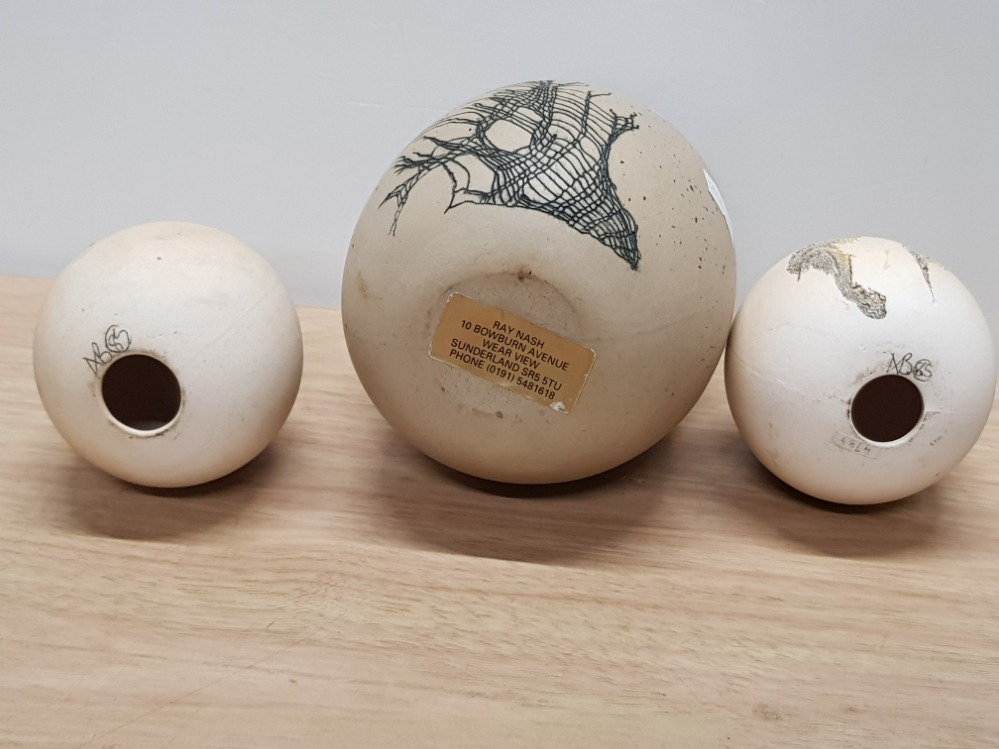 FOUR STUDIO POTTERY EGGS ALL WITH WEB DECORATION 2 SIGNED BY ALISON BORTHWICK AND ONE BY RAY NASH - Image 3 of 3