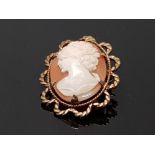 ROLLED GOLD SHELL CAMEO BROOCH