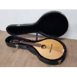 THE ASHBURY STANDARD CELTIC MANDOLIN IN ORIGINAL HARDCASE