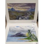 A PASTEL DRAWING TITLED CRIFFELL SW SCOTLAND SIGNED BY J D PARRACK TOGETHER WITH ANOTHER PASTEL