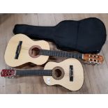 CB SKY QUALITY CRAFTED ACOUSTIC GUITAR AND ELECA GUITAR IN CARRYBAG