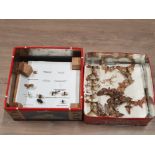 2 TRAYS CONTAINING BUTTERFLIES AND MOTHS AND BEATLES ETC