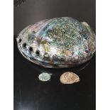 A BEAUTIFUL PAUA BROOCH SET IN STERLING SILVER WITH A PARTICULARLY FINELY FIGURED PAUA SHELL OF