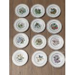 A SET OF 12 MINIATURE WEDGWOOD WINDSOR PARK PLATES 1 DAMAGE REPAIRED AND 1 CHIPPED