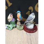 3 BORDER FINE ARTS BIRD ORNAMENTS