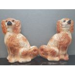 A PAIR OF ANTIQUE STAFFORDSHIRE DOGS 11.5 INCHES