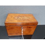 A GEORGIAN INLAID MAHOGANY TEA CADDY WITH PATERAE TO COVER KEY 18.5CM WIDE