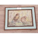 ISABELLA HORTON HAVERY SIGNED WATERCOLOUR TITLED YOUNG BLACKBIRDS 16CM BY 22CM