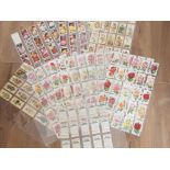 CIGARETTE TRADE CARDS ROSE'S AND FLOWERS 1910-1939 X5 DIFFERENT FULL SETS BY CARRERAS CWS AND