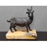 BRONZE ORNAMENT OF A MOUNTAIN GOAT, ON MARBLE EFFECT BASE, LENGTH 12CM X HEIGHT 12CM, ONE HORN