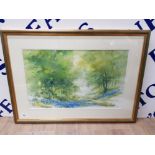 A WATERCOLOUR BY JOHN R HARRIS 'BLUEBELL WOODS' SIGNED 30 X 48CM